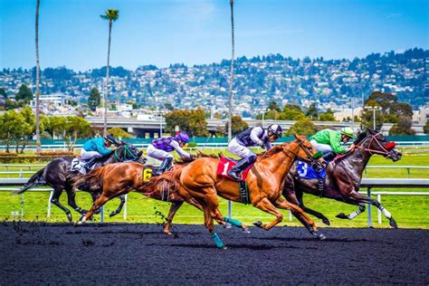 4 horses have died at Golden Gate Fields race track within a 2-week span